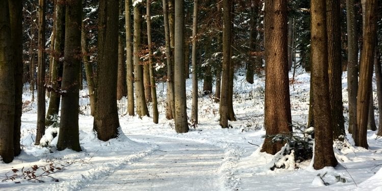 Beskid Śląski: Ślady bosych stóp na śniegu. Akcja poszukiwawcza GOPR
