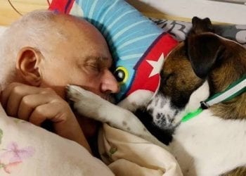 Janusz Korwin-Mikke odpowiada Cimoszewiczowi i publikuje zdjęcia z psem. „Nie doniosę na pana dlatego, że głupota nie jest karalna”