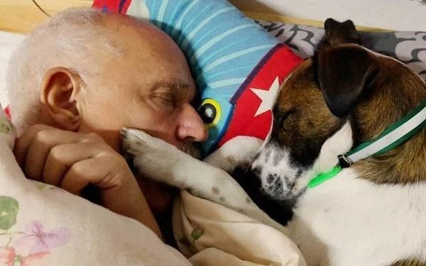 Janusz Korwin-Mikke odpowiada Cimoszewiczowi i publikuje zdjęcia z psem. „Nie doniosę na pana dlatego, że głupota nie jest karalna”