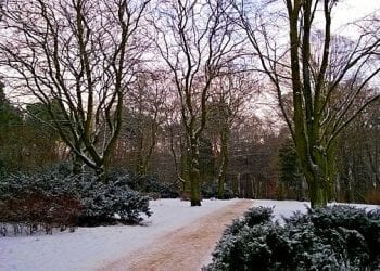 68-latek klęczał przy ławce, nikt nie reagował. Z pomocą przyszedł 13-latek