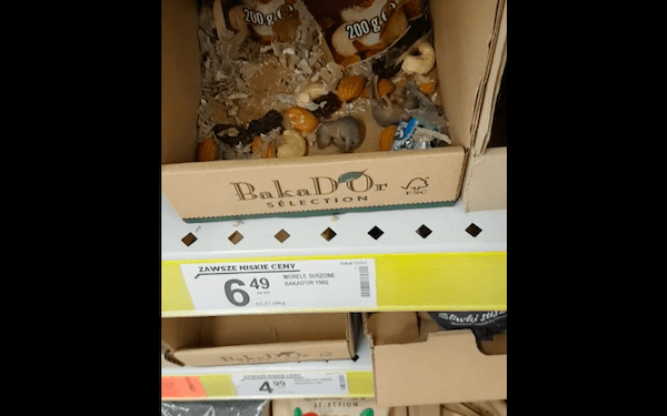 Klientka na półce w Biedronce nagrała… szczury. „Nie wiem jak to nazwać” [WIDEO]