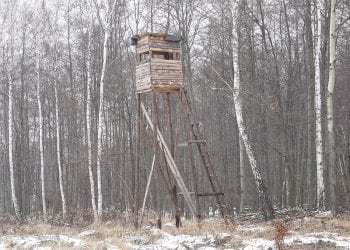 Tragedia na polowaniu. Zginął z powodu alkoholu?