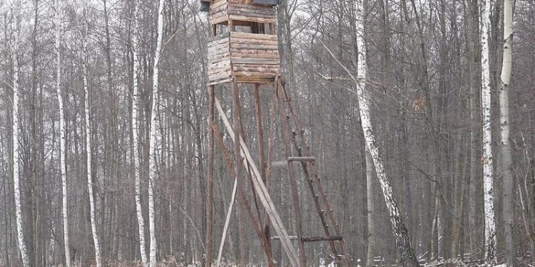 Tragedia na polowaniu. Zginął z powodu alkoholu?