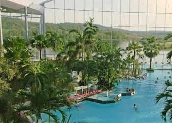 Suntago Wodny Świat, park wodny, palmy baseny