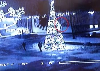 Bełchatów: Mężczyzna spadł z 8-metrowej choinki. Wszystko nagrały kamery [WIDEO]