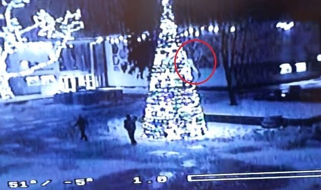 Bełchatów: Mężczyzna spadł z 8-metrowej choinki. Wszystko nagrały kamery [WIDEO]