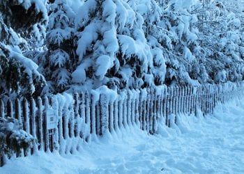 Potężne uderzenie mrozu w USA. Temperatura spadnie do minus 40 stopni