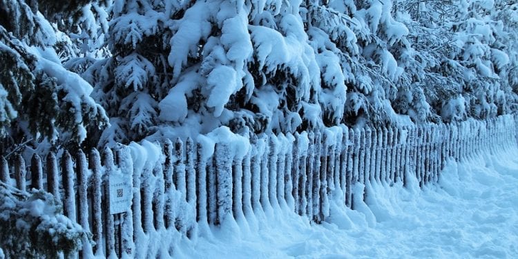 Potężne uderzenie mrozu w USA. Temperatura spadnie do minus 40 stopni