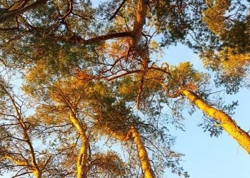 Idzie ocieplenie! Na termometrach zobaczymy nawet 9 stopni