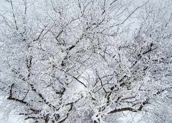 IMGW ostrzega przed ekstremalnymi mrozami. Temperatura nawet poniżej minus 20 stopni!