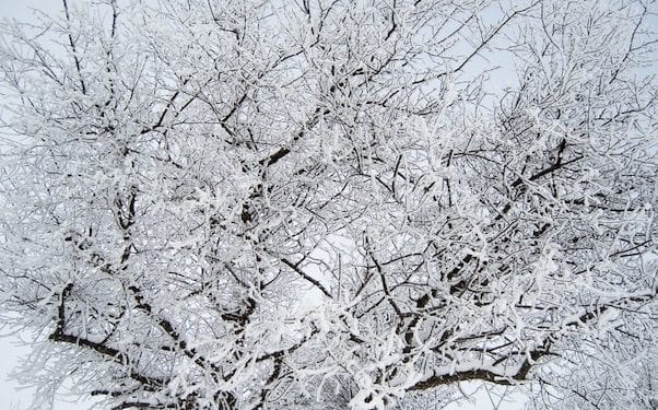 IMGW ostrzega przed ekstremalnymi mrozami. Temperatura nawet poniżej minus 20 stopni!