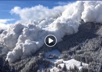 Wielka lawina w Alpach. Jest nagranie [WIDEO]