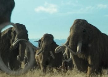 Ludzie żyjący na terenie Europy polowali na mamuty. W Krakowie odkryto dowód