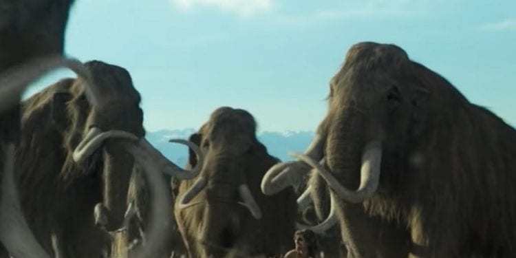 Ludzie żyjący na terenie Europy polowali na mamuty. W Krakowie odkryto dowód