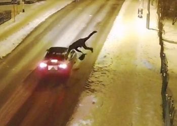 Jak NIE przechodzić przez jezdnię. Policja publikuje wstrząsające nagranie z wypadku [WIDEO]