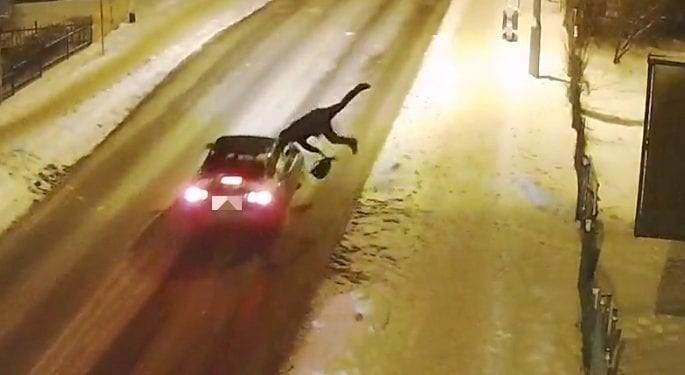 Jak NIE przechodzić przez jezdnię. Policja publikuje wstrząsające nagranie z wypadku [WIDEO]