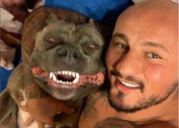 Artur Szpilka utknął z psem pod Śnieżką. Ewakuowali go ratownicy GOPR [WIDEO]