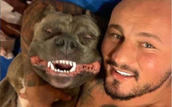 Artur Szpilka utknął z psem pod Śnieżką. Ewakuowali go ratownicy GOPR [WIDEO]