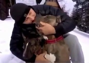 Szpilka tłumaczy się z akcji ratunkowej pod Śnieżką. „Pumbie zaczęły marznąć uszka” [WIDEO]