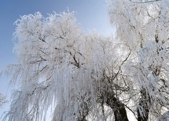 Siarczyste mrozy i gwałtowne ocieplenie. Czekają nas duże zmiany w pogodzie