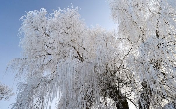 Siarczyste mrozy i gwałtowne ocieplenie. Czekają nas duże zmiany w pogodzie