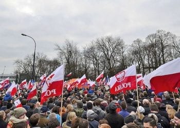 KOD odcina się od ataku na Ogórek. Jest oświadczenie