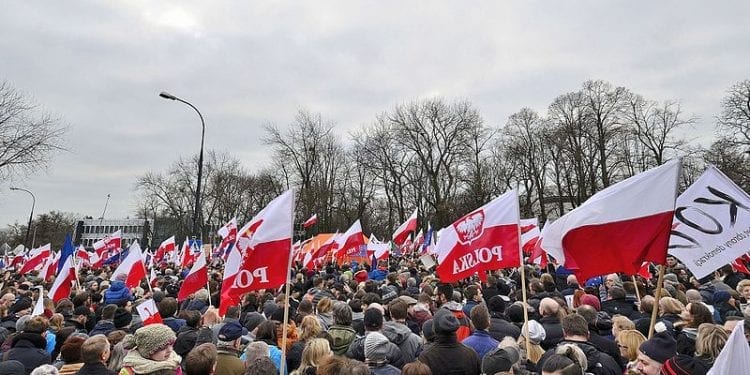 KOD odcina się od ataku na Ogórek. Jest oświadczenie