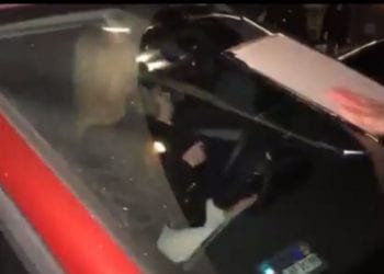 Atak na Magdalenę Ogórek. Na jej aucie naklejki: „TVoja wina” [WIDEO]