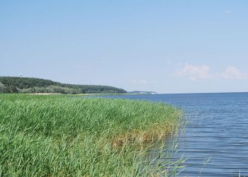 Rosja reaguje na przekop Mierzei Wiślanej