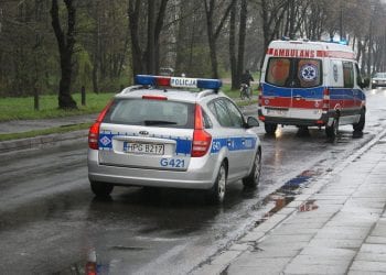 Opolskie: Konar spadł na dziecko podczas wycinki drzew. 5-latek w ciężkim stanie