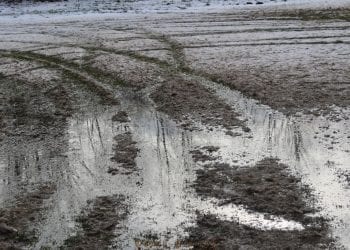 Jeździł samochodem po murawie boiska. Klub wycenił straty na 70 tys. złotych [FOTO]