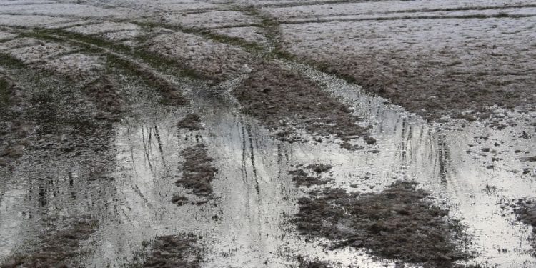 Jeździł samochodem po murawie boiska. Klub wycenił straty na 70 tys. złotych [FOTO]