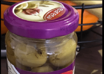 Żywy pająk w oliwkach z Lidla. Klientka opublikowała nagranie [WIDEO]