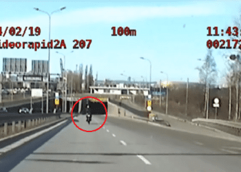 Pościg za piratem drogowym. Policja pokazała nagranie z radiowozu [WIDEO]