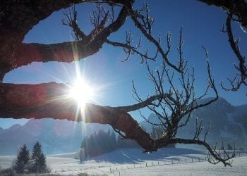Przed nami zaskakująco ciepły weekend. Na termometrach kilkanaście stopni