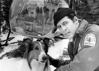 Jed Allan nie żyje. To kolejna gwiazda „Beverly Hills 90210”