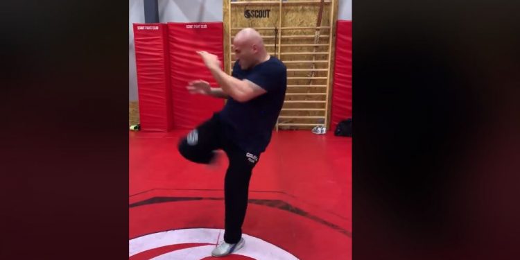 Marcin Najman odpowiada hejterom. Wrzucił nowy film z treningu [WIDEO]