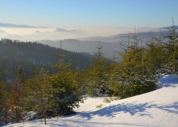 Dolina Czarnej Wody. Znaleźli zwłoki w stanie rozkładu