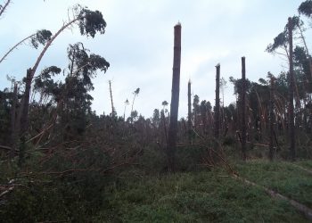 Potężne wichury nad Polską. To nie koniec zagrożenia