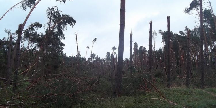 Potężne wichury nad Polską. To nie koniec zagrożenia