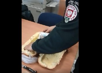 Kobieta przewoziła mocno wyrośniętą bułkę. Funkcjonariusz zajrzał do środka [FOTO]
