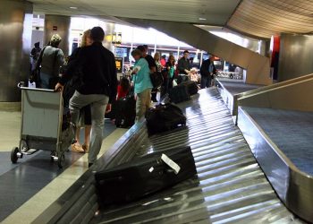 W walizce przemycał orangutana. Wpadł na lotnisku