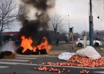 Protest rolników w Warszawie. Płonące opony, świńskie łby na ulicy [WIDEO]
