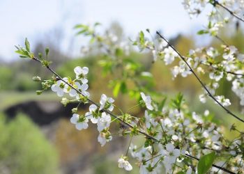 Pierwsza prognoza pogody na Wielkanoc i majówkę
