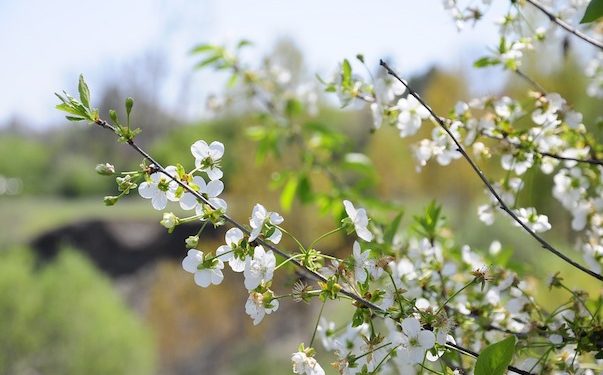 Pierwsza prognoza pogody na Wielkanoc i majówkę