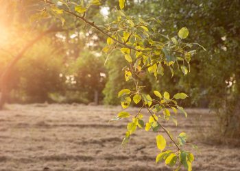 Przed nami najcieplejszy dzień marca. Na termometrach zobaczymy 20 stopni