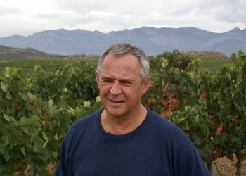 Marek Kondrat zaśpiewał piosenkę dla kandydatki PO w wyborach. Po kilku godzinach nagranie usunięto