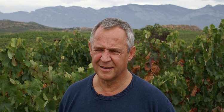 Marek Kondrat zaśpiewał piosenkę dla kandydatki PO w wyborach. Po kilku godzinach nagranie usunięto