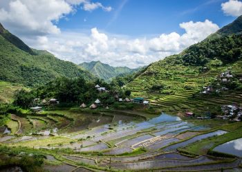 Zoolodzy z UŁ szukają nowych gatunków w filipińskich tropikach