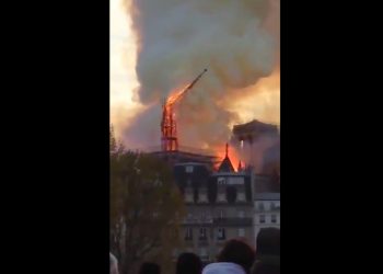 Zawaliła się iglica katedry Notre Dame! [WIDEO]